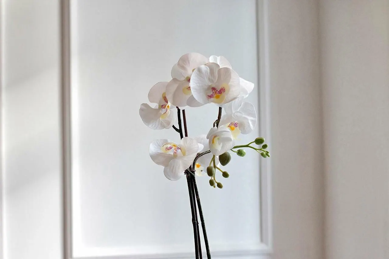 Apartamento Gran Via Luxury 3Br Granada