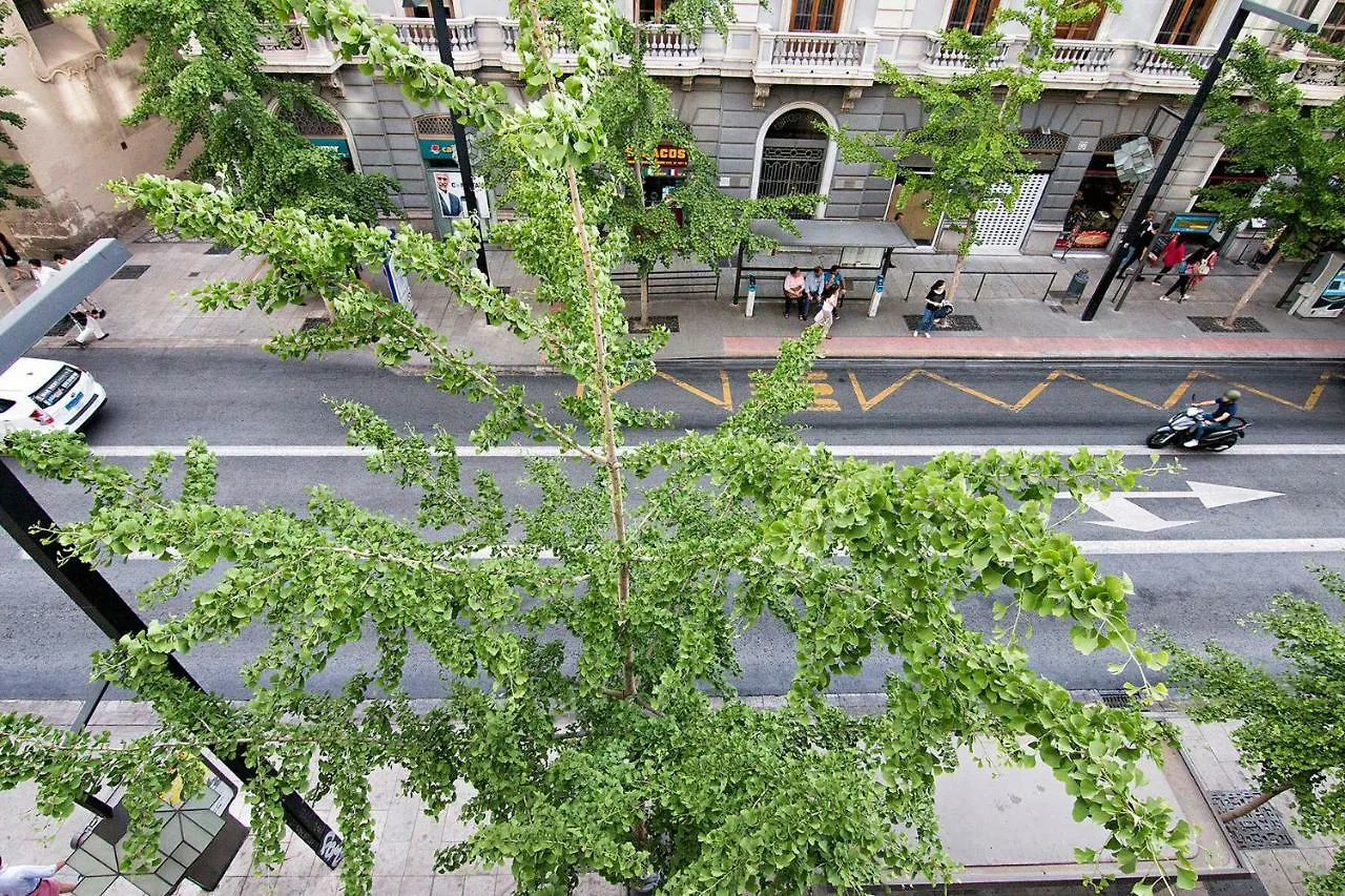 Gran Via Luxury 3Br Apartment Granada